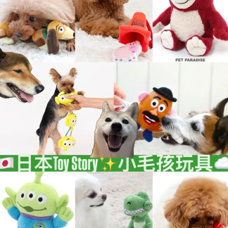 訂貨 Toy Story pet toys