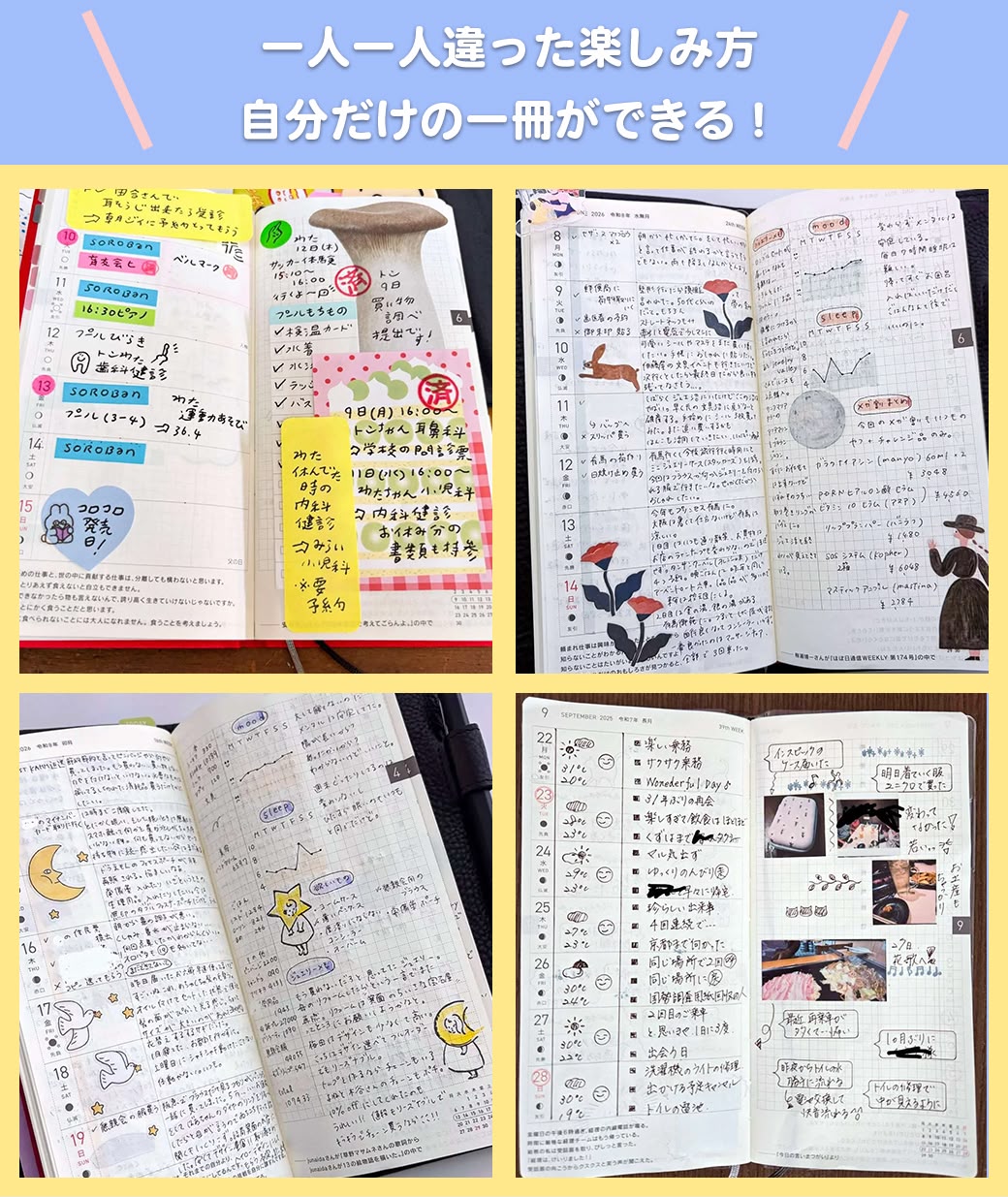訂貨 2027 schedule monchhichi 9月中到貨