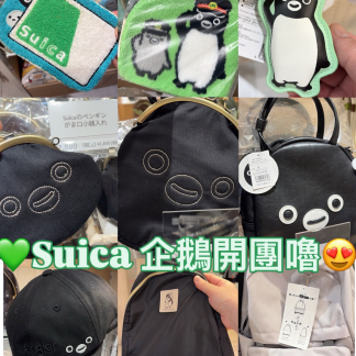 訂貨日本suica 企鵝團1 訂貨日本suica 企鵝團1
