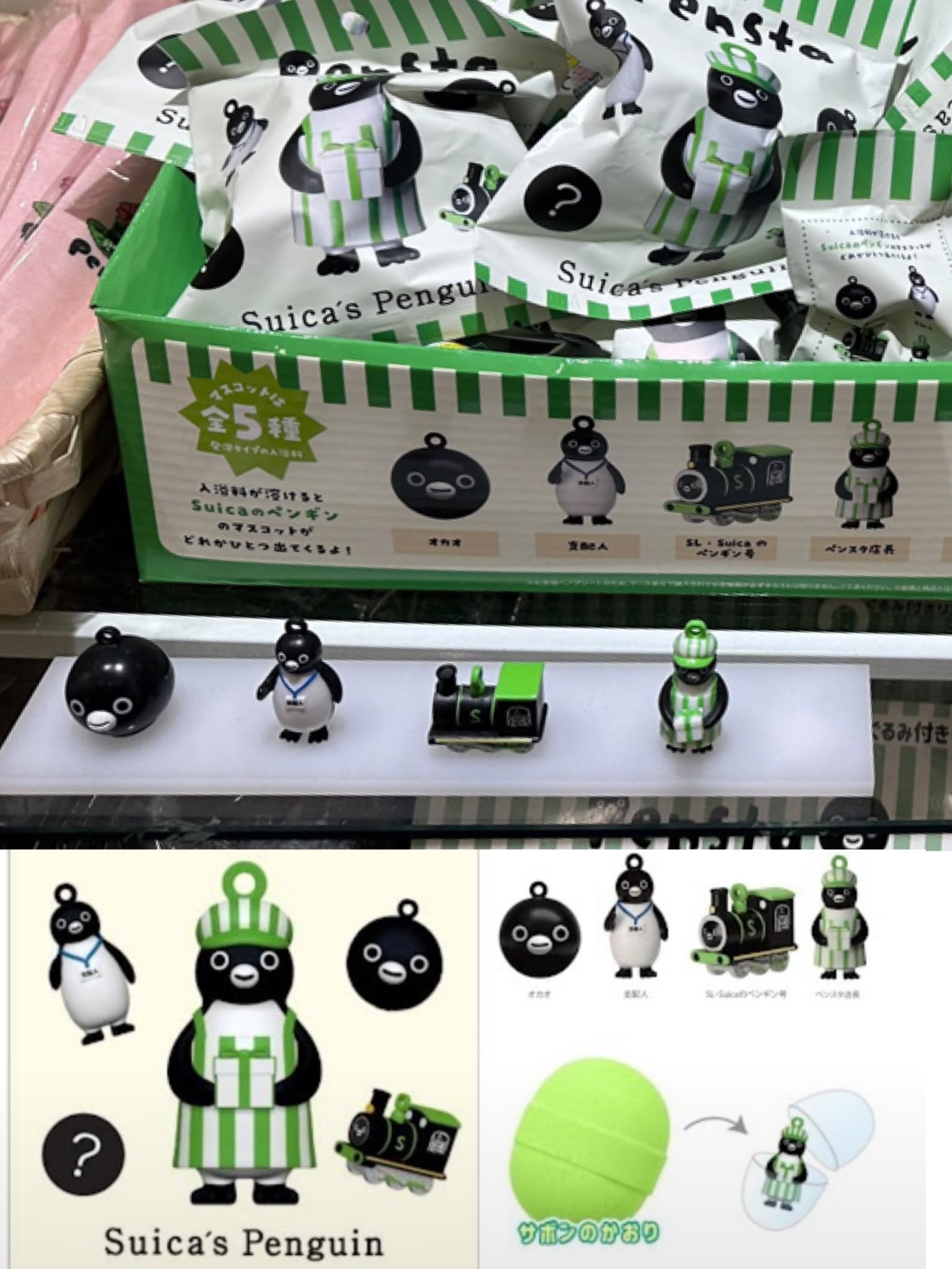 預訂suica 企鵝小吊飾 盲抽 預訂suica 企鵝小吊飾 盲抽