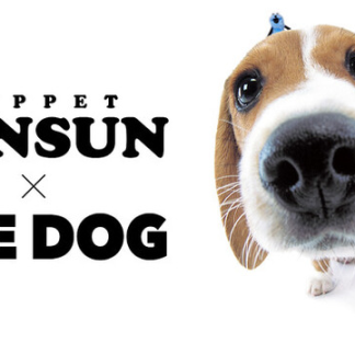 預訂Puppet Sunsun x THE DOG